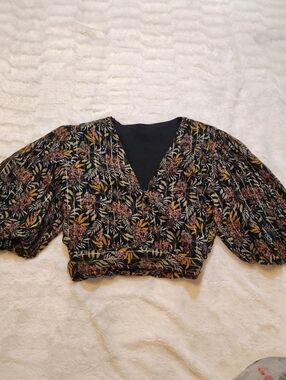 Zara Cropped Poofy Sleeve Blouse